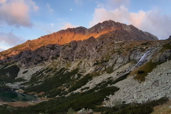 Stratégia Ľudí: Headcount, rozvoj zručností a Succession Planning