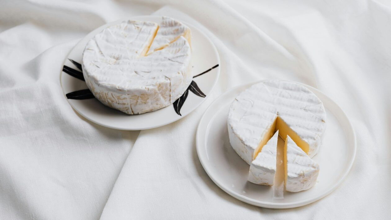 Hodnotenie výkonu a kompetencií: Metódy a spätná väzba