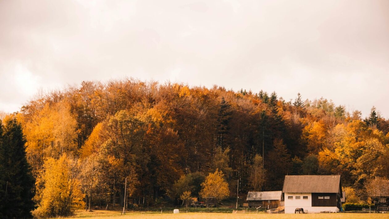 Manažment v ére AI: Budúcnosť riadenia podnikov v prostredí umelej inteligencie