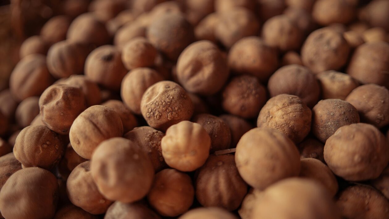 Kľúčové funkcie manažéra: Plánovanie, organizovanie, vedenie a kontrola v modernej firme