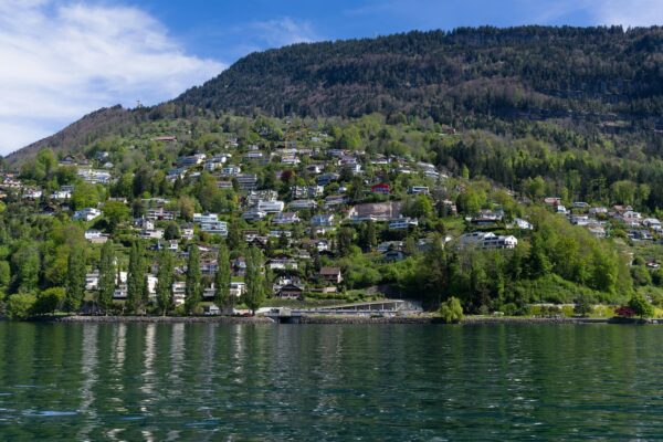 Feedback ako kontrola: Tvorba kontrolných mechanizmov a cyklov spätnej väzby