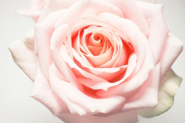 Digital fluency: Digitálne zručnosti ako nevyhnutná výbava moderného manažéra