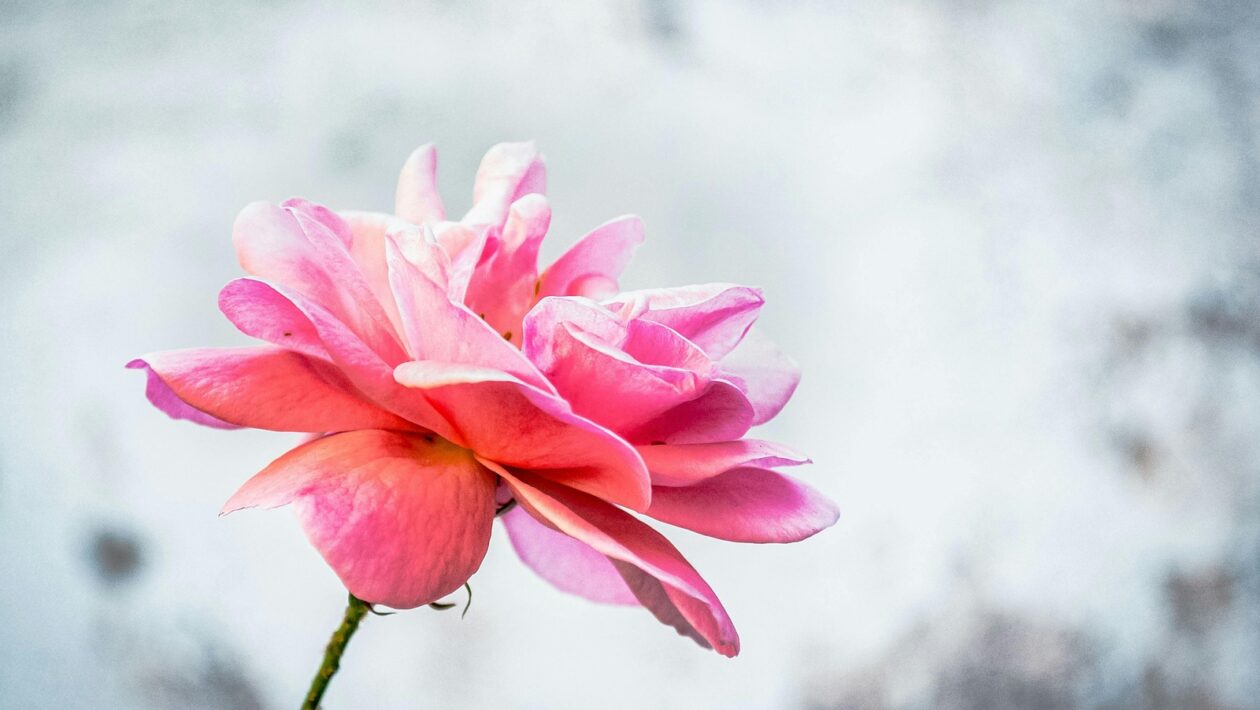 Futuristické myslenie: Strategické myslenie v nestálom a dynamickom prostredí