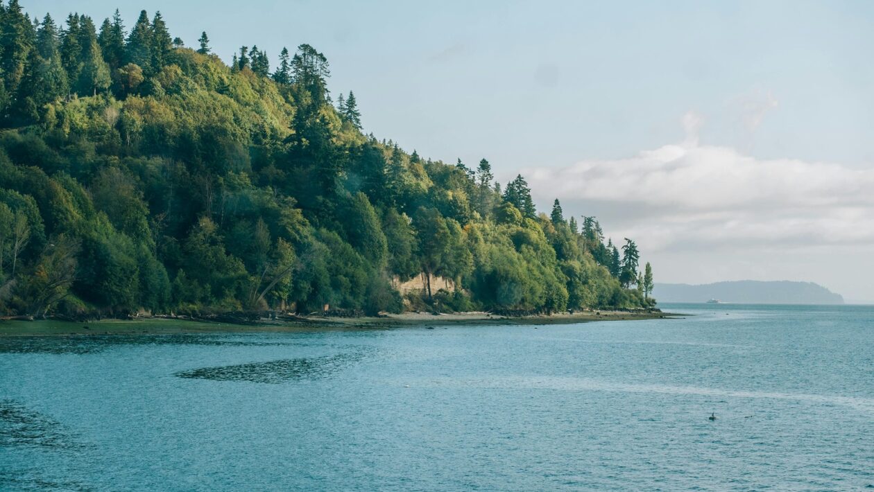 Exekučná excelentnosť: Úloha manažmentu pri implementácii stratégie