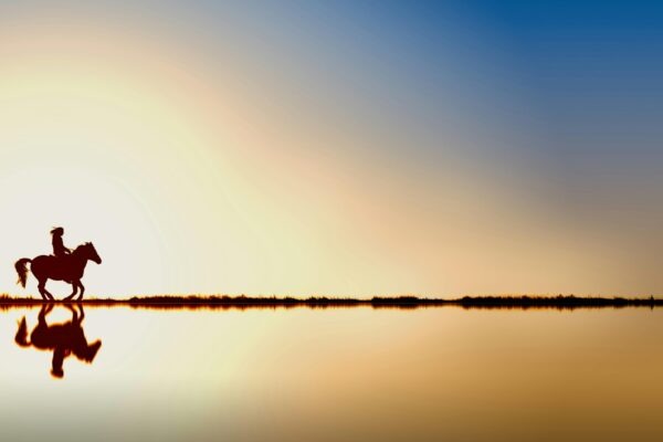 Funkčné špecializácie: Marketingová, HR, finančná a funkčné stratégie