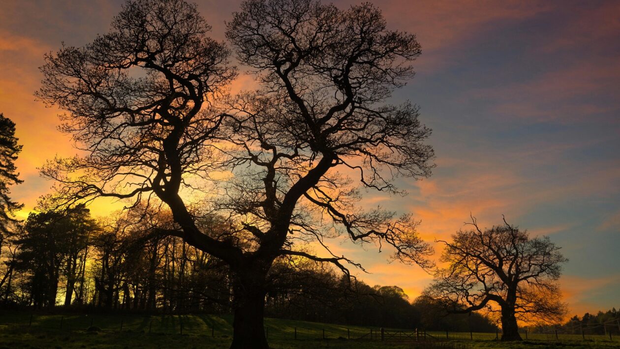 Perpsektívy BSC: Štyri kľúčové perspektívy BSC a ich význam pre riadenie