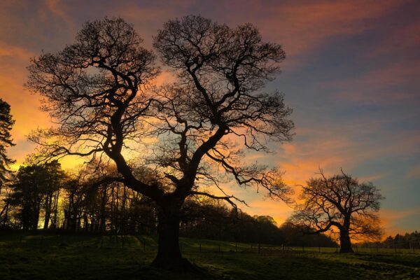 Perpsektívy BSC: Štyri kľúčové perspektívy BSC a ich význam pre riadenie