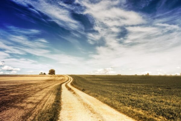 Risk Intelligence: Identifikácia a klasifikácia podnikových rizík