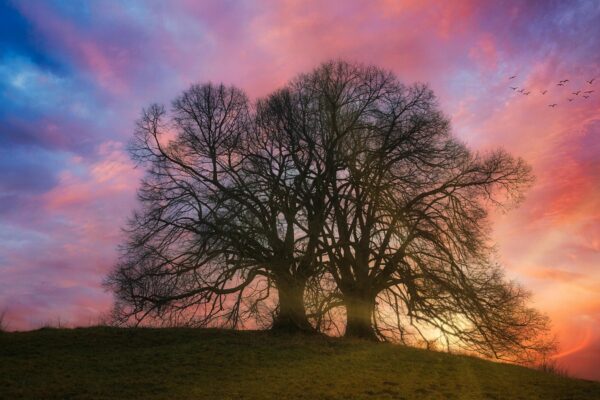 Mitigácia rizík: Prevencia a plánovanie reakcií na potenciálne riziká
