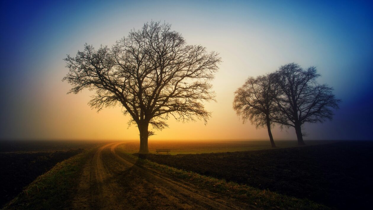 Integrácia rizika: Risk management ako neoddeliteľná súčasť stratégie