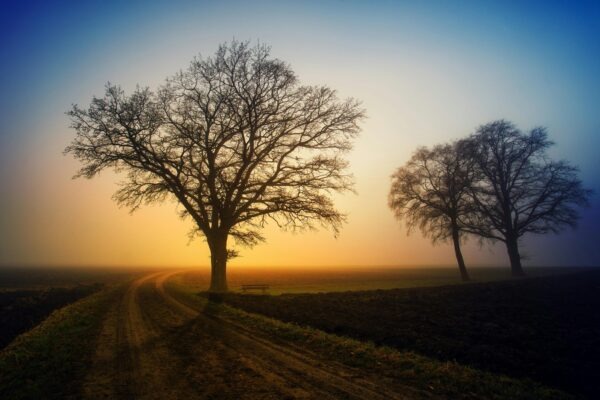 Integrácia rizika: Risk management ako neoddeliteľná súčasť stratégie