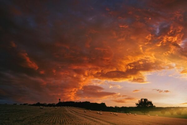 Typológia rizík: Finančné, prevádzkové a reputačné riziká v organizácii