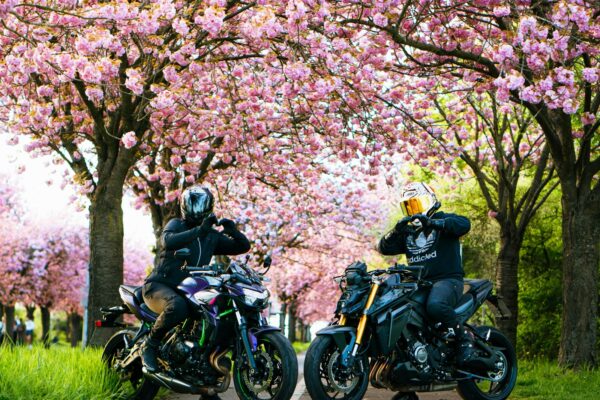 Kultúrny architekt: Úloha HR v kultúrnej zmene organizácie