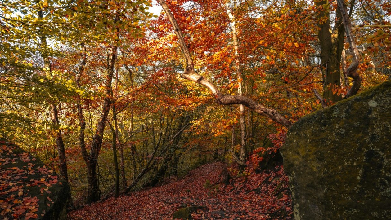 Chyby pri delegovaní: Analýza najčastejších chýb pri delegovaní