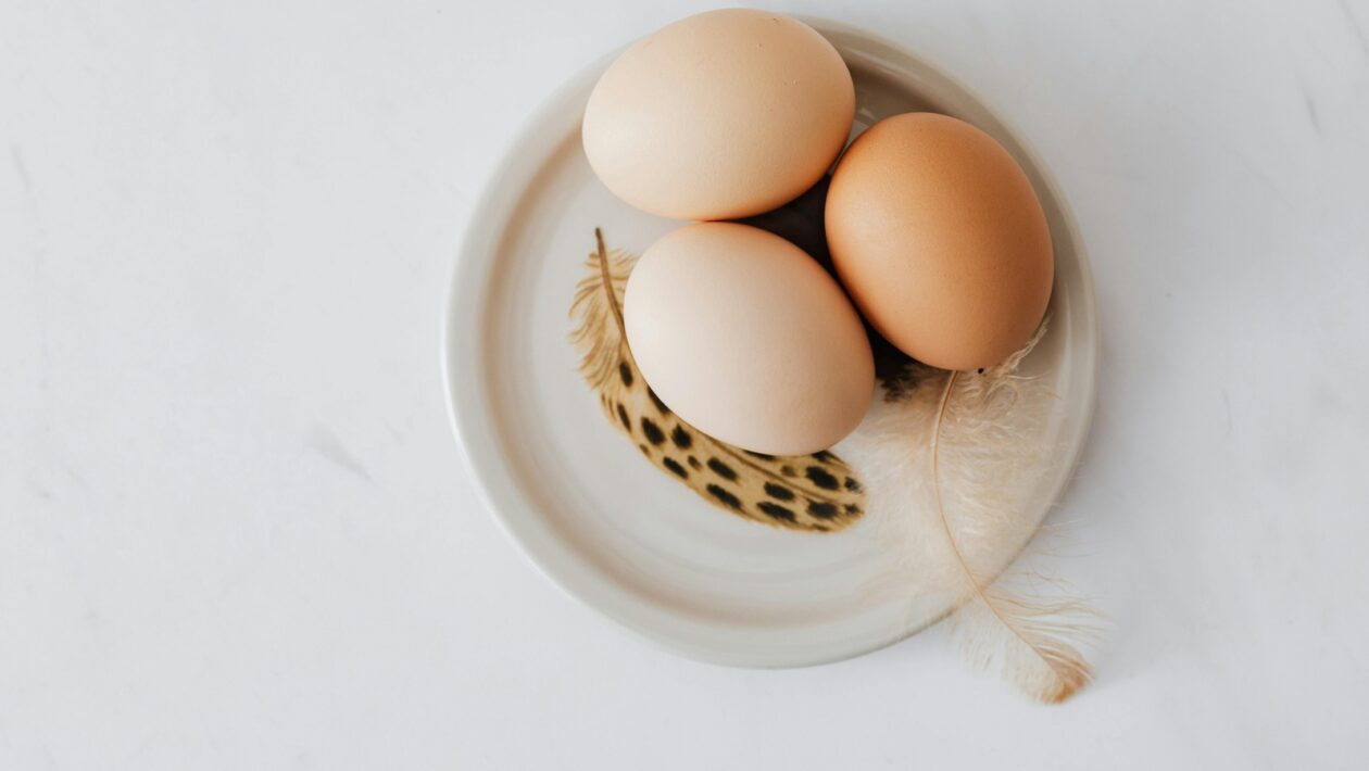 Riešenie sporov: Mediácia a facilitácia ako nástroje riešenia sporov