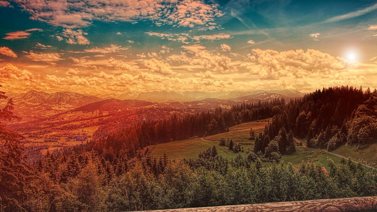 Organizačný dizajn: Typy organizačných štruktúr