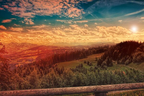 Organizačný dizajn: Typy organizačných štruktúr