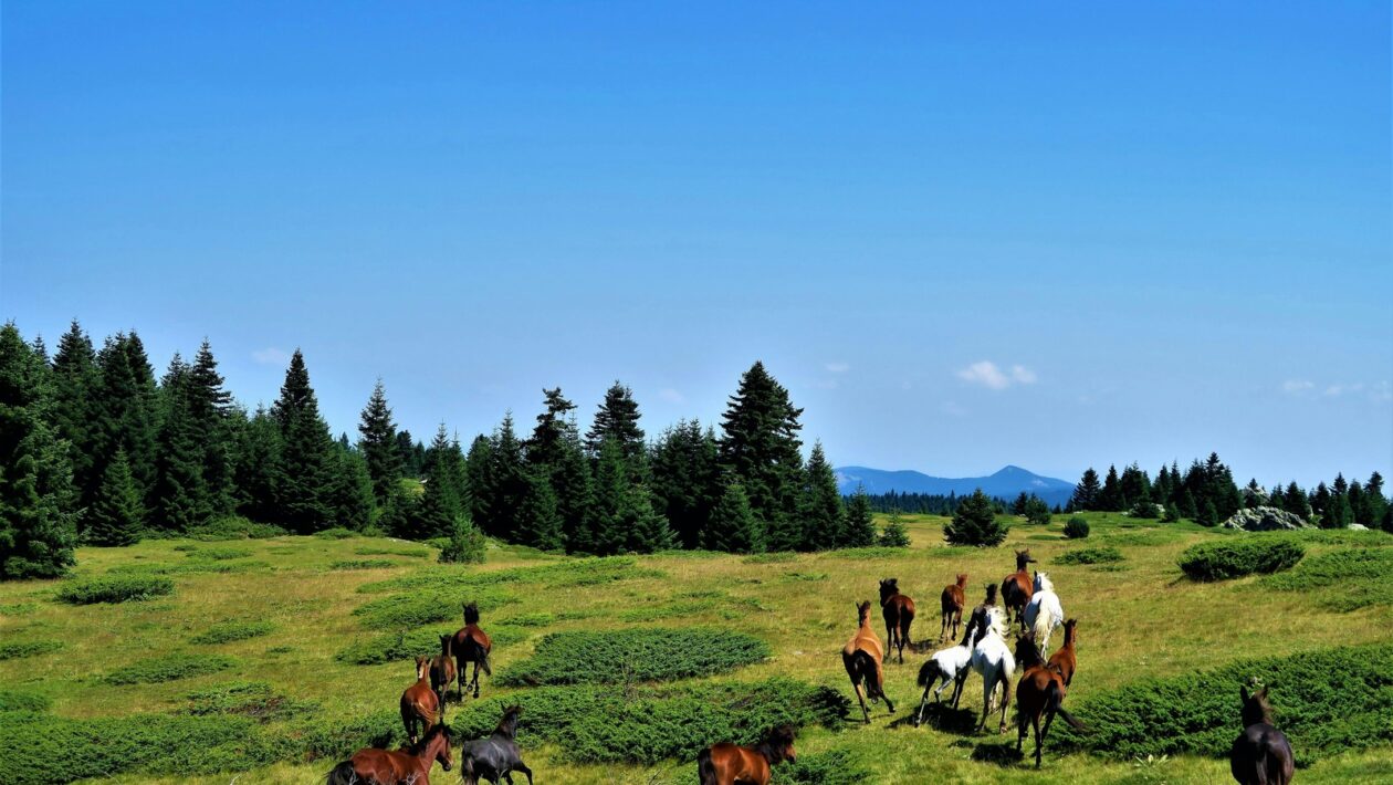 Meranie zmeny: Meranie úspešnosti zmeny a dosiahnutých cieľov