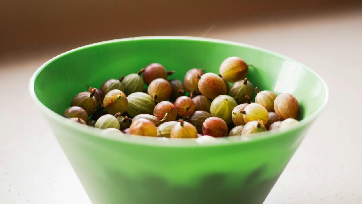 Reputačný kapitál: Budovanie dôveryhodného imidžu spoločnosti