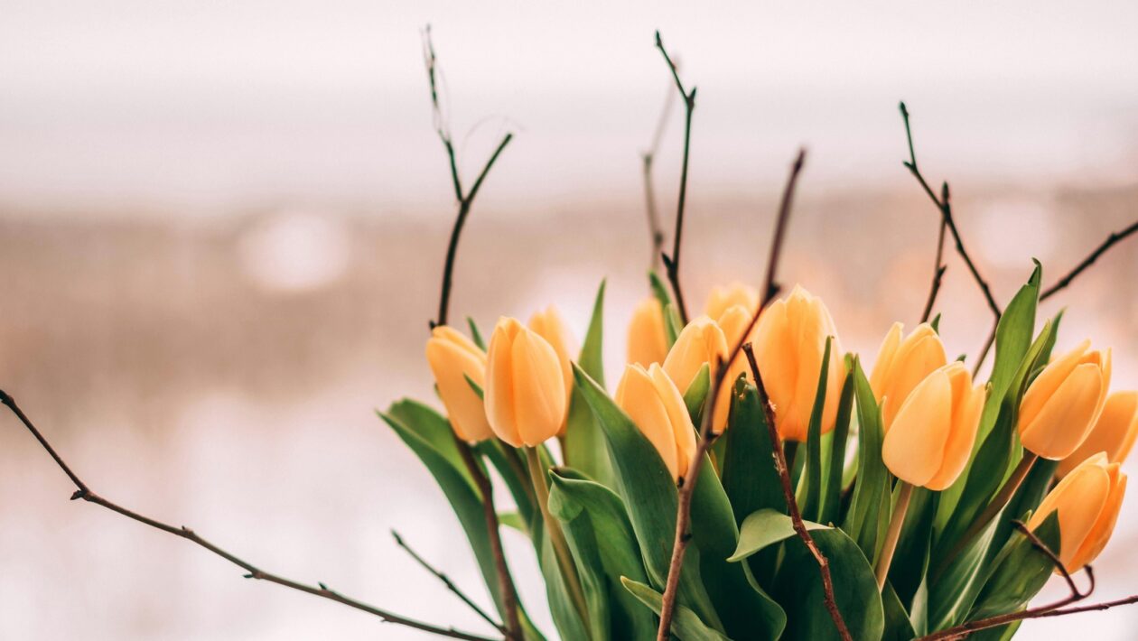 Vplyv reputácie: Reputácia a jej vplyv na výkonnosť