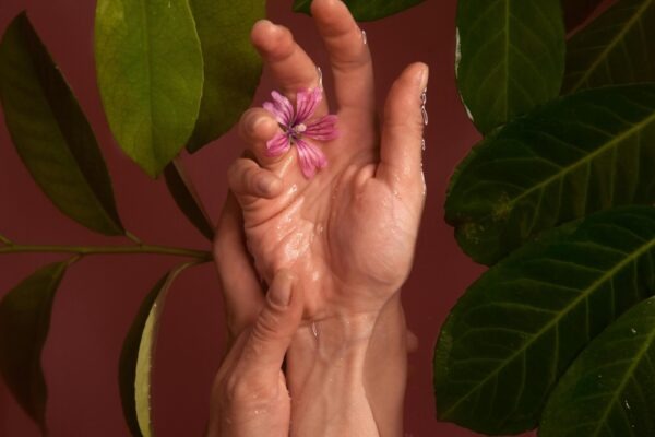 Otvorená komunikácia: Transparentnosť a otvorenosť vo vnútri firmy