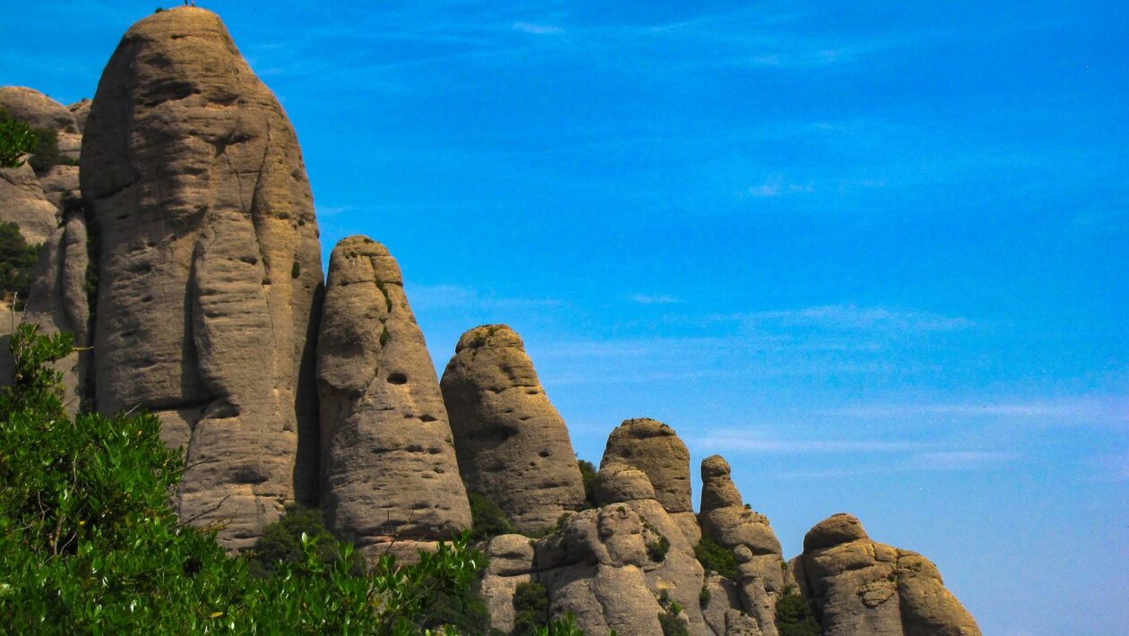 Riadenie zdrojov: Riadenie projektových zdrojov a rozpočtu