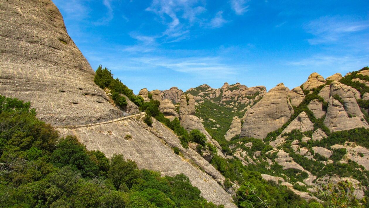 Kritická cesta: Identifikácia závislostí a kritická cesta