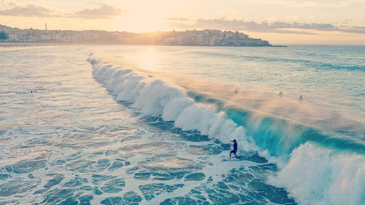 Nástroje pre plánovanie: MS Project, ClickUp, Asana a moderné nástroje