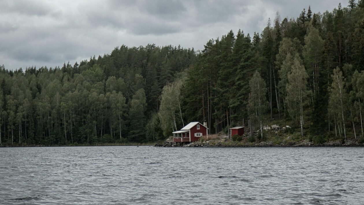 Motivácia v PM: Motivácia členov projektového tímu