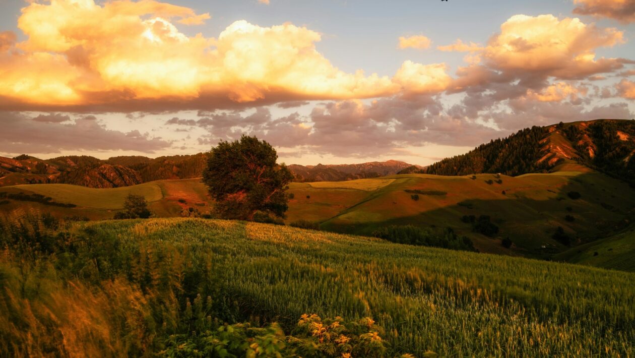 Výber nástroja: Výber vhodného nástroja podľa veľkosti a typu projektu