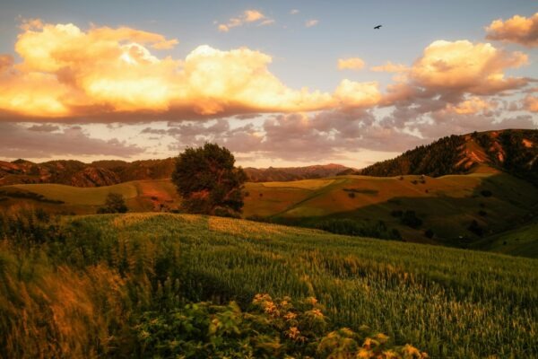 Výber nástroja: Výber vhodného nástroja podľa veľkosti a typu projektu