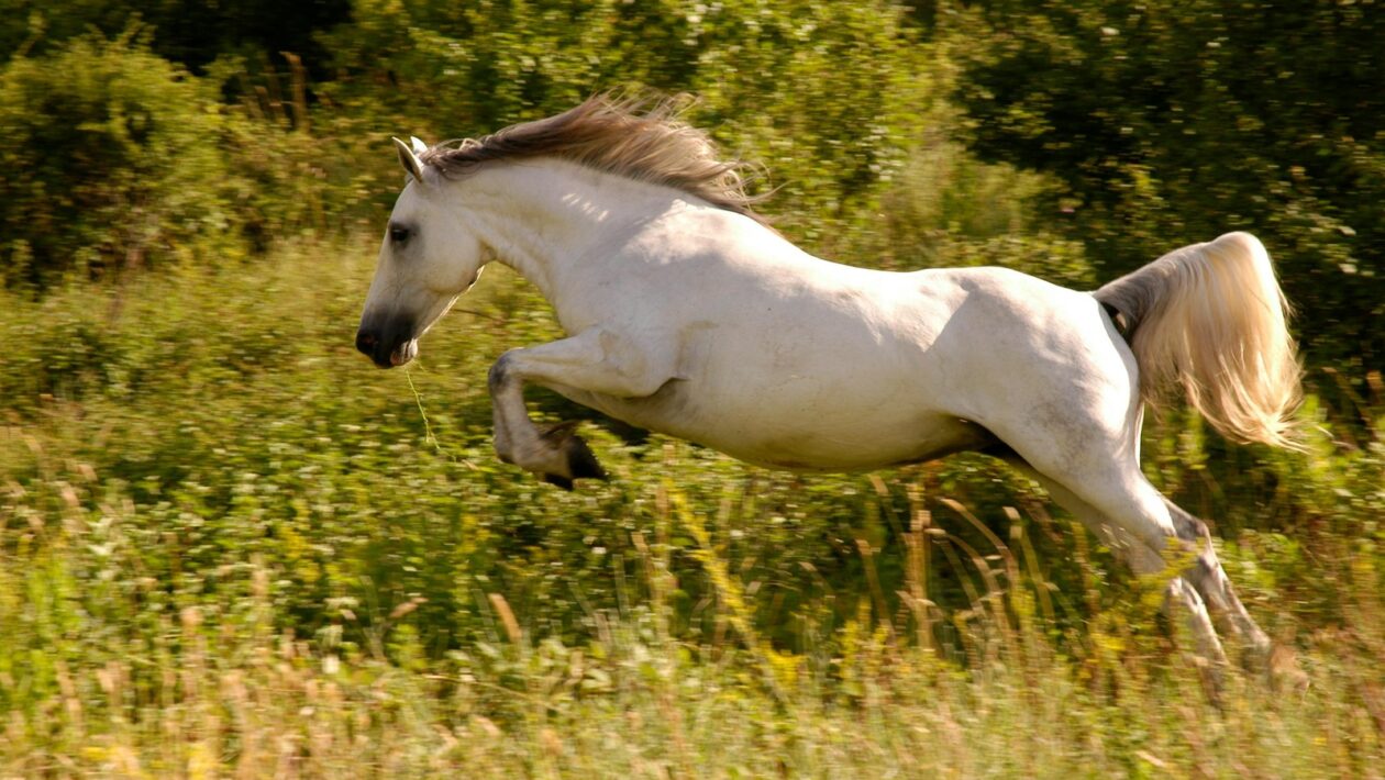 Kanban: Kanban tabuľa a riadenie toku práce