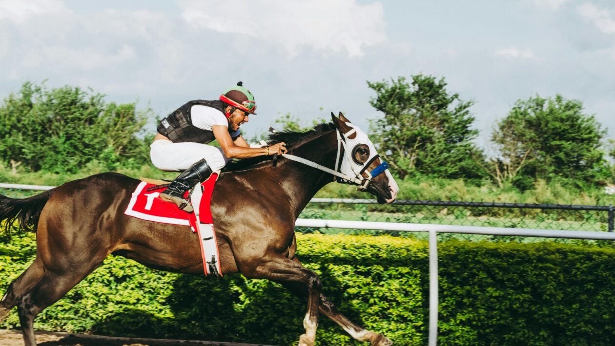 Ekonomické ukazovatele: Ekonomické ukazovatele úspechu projektu (ROI, NPV)