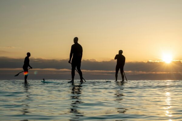 Správa grantov: Správa grantov a verejných projektov