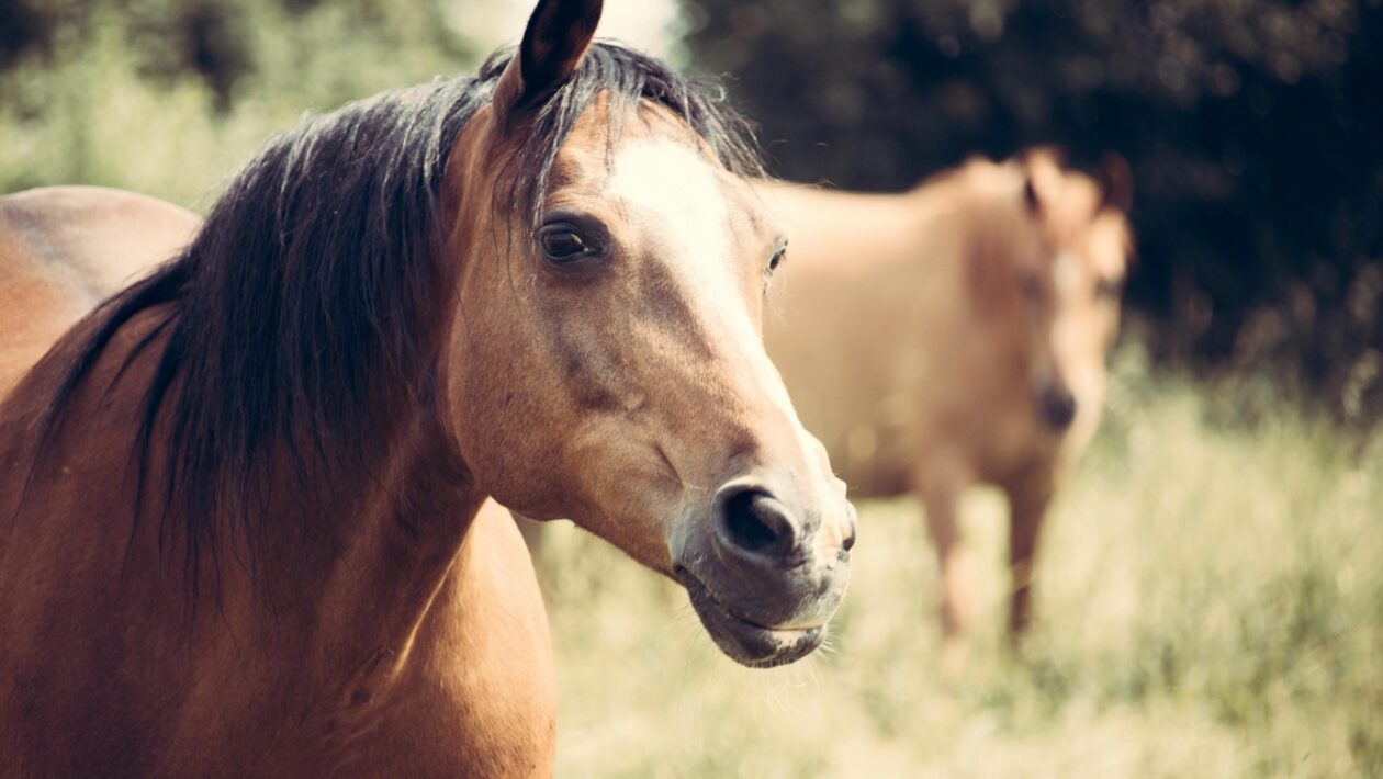 KPIs pre oddelenia: Výber vhodných KPI pre rôzne oddelenia