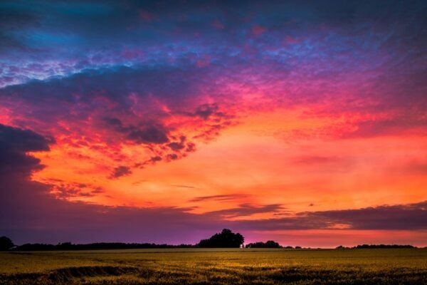 Procesná efektívnosť: Meranie efektívnosti procesov