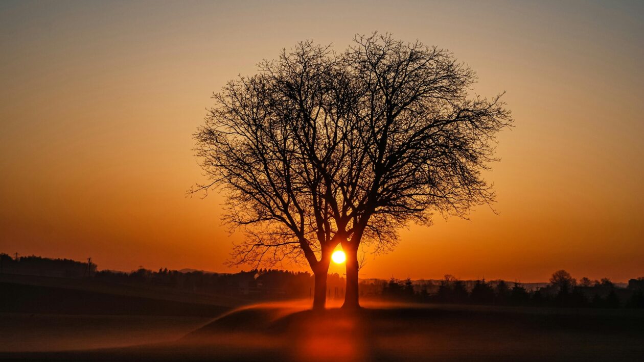 Data Visualization: Vizuálne dashboardy a reporting