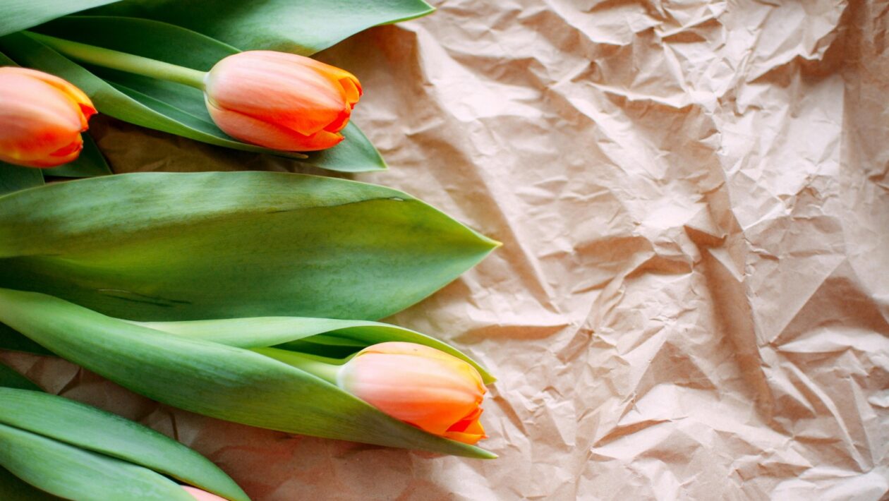 CIP: Kontinuálne zlepšovanie kvality (CIP)