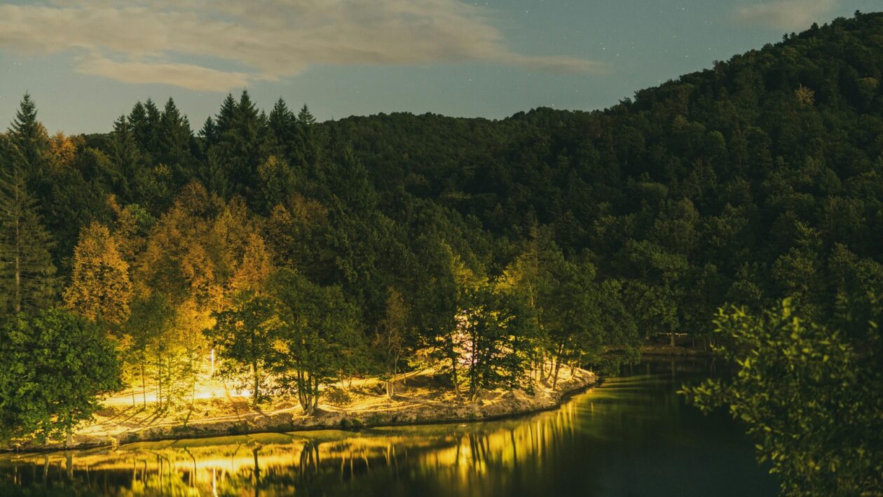 Dôvera: Transparentnosť a dôvera v manažérskej praxi