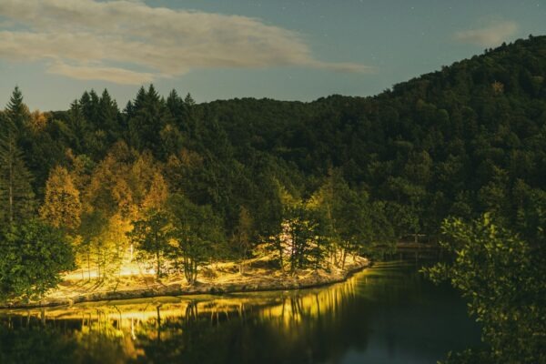 Dôvera: Transparentnosť a dôvera v manažérskej praxi