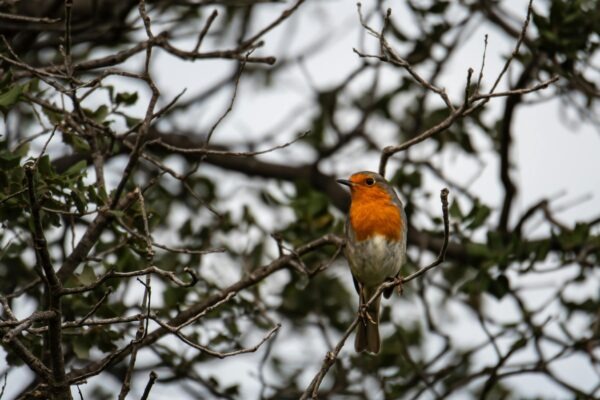 Podnikateľské myslenie: Podpora podnikateľského myslenia zamestnancov