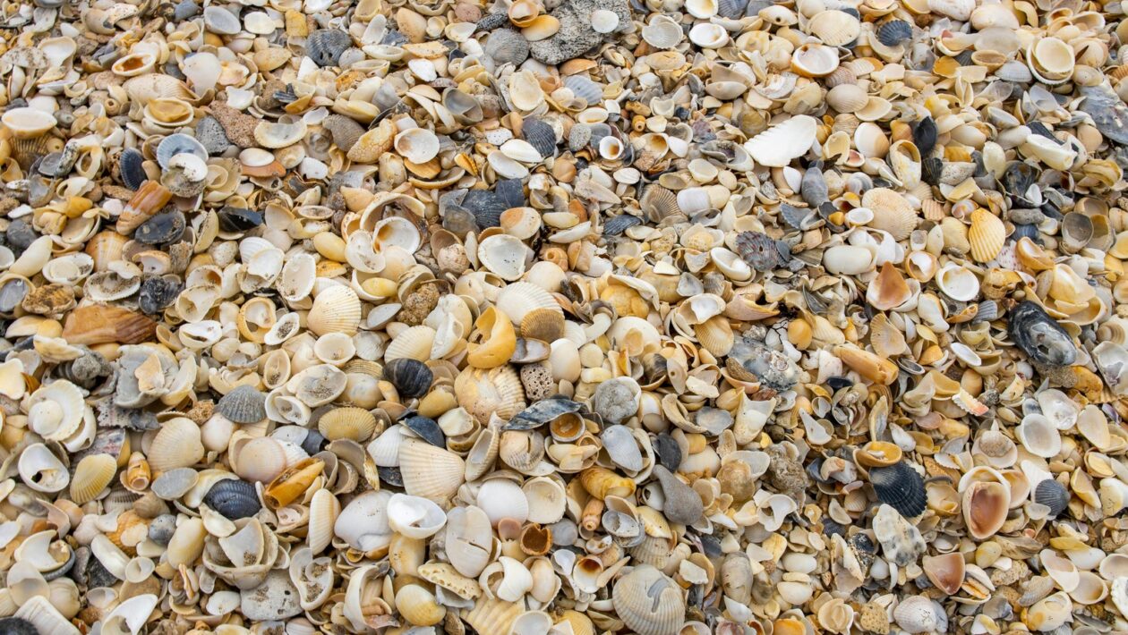 Multikultúrne tímy: Manažérske výzvy v multikultúrnych tímoch