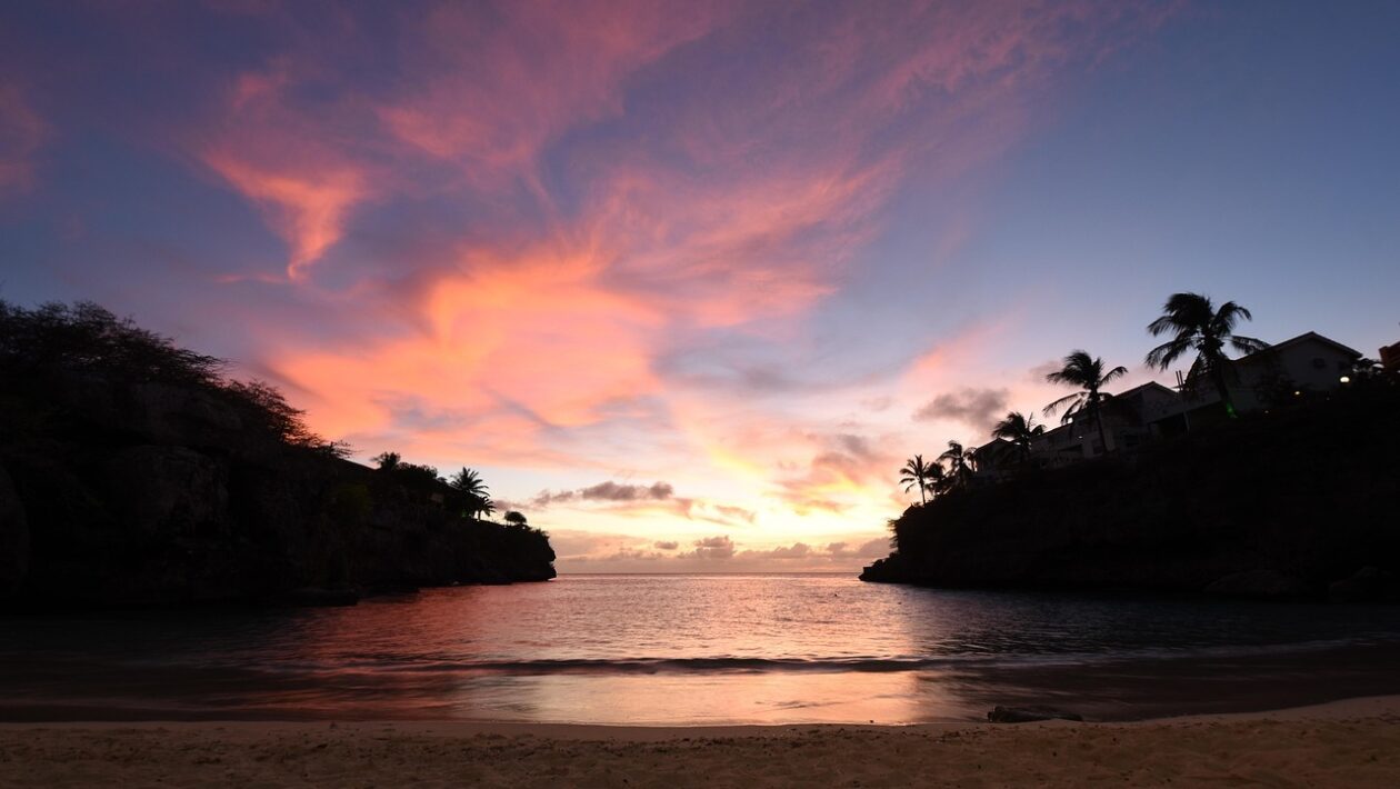 Technologická transformácia: Technologická transformácia manažérskych úloh